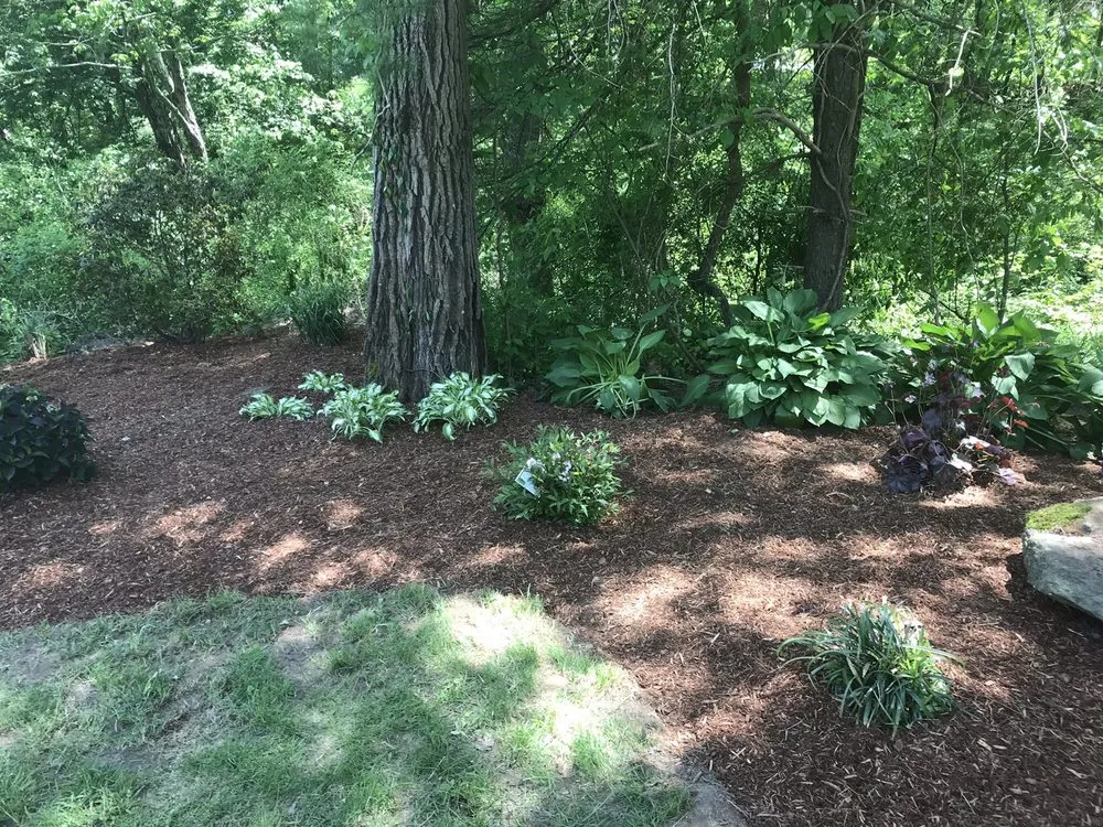 Affordable yard maintenance in North Scituate, RI by R. J. Lawncare