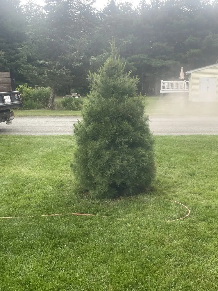 Custom landscape installation in North Scituate, RI - R. J. Lawncare