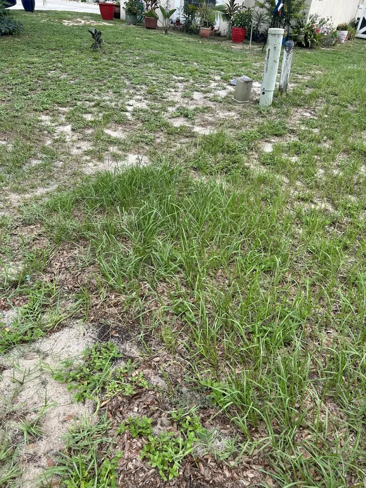 Expert garden landscaping in Haines Creek, FL - R L S Lawn Care