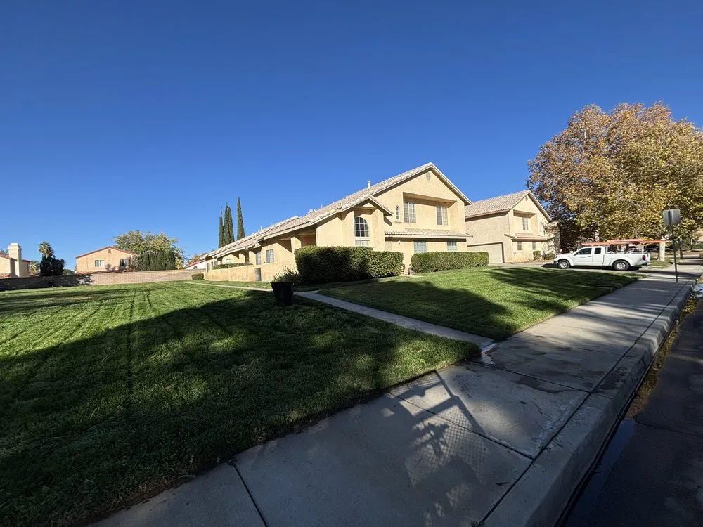 Trusted outdoor landscaping experts serving Calabasas, CA - R Landscaping & Tree Service