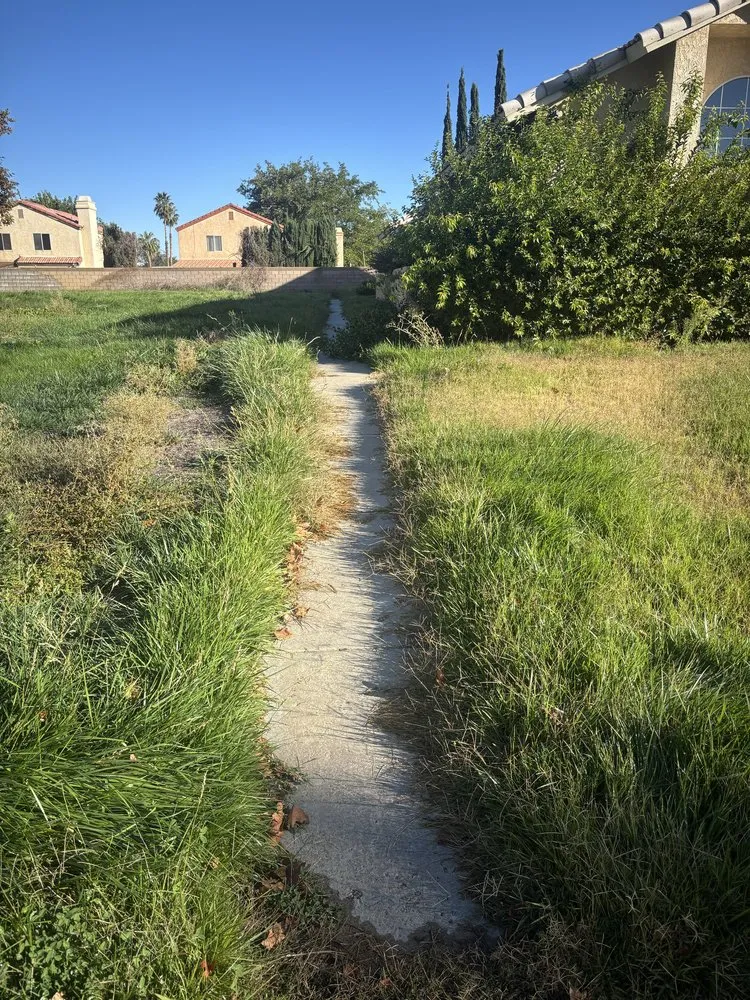 Reliable outdoor landscaping with custom design across Calabasas, CA - R Landscaping & Tree Service