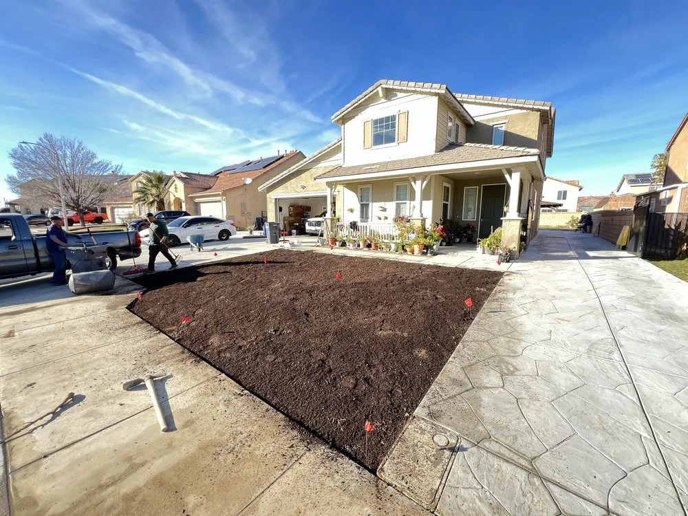 Top-rated yard cleanup service in Calabasas, CA by R Landscaping & Tree Service