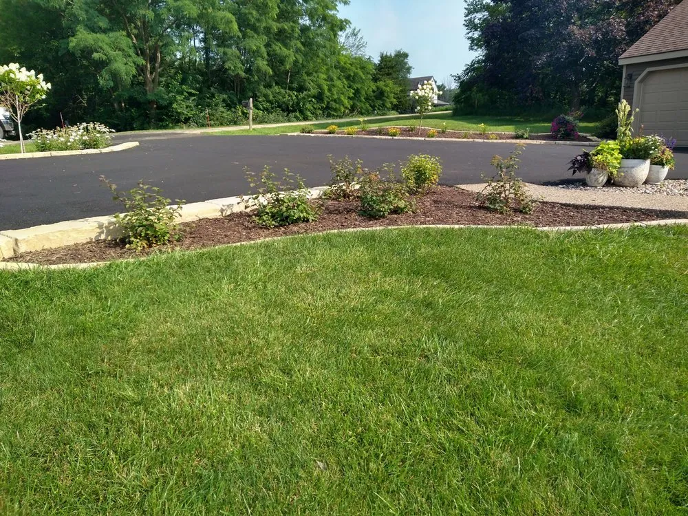 Expert yard cleanup service in Scales Mound, IL by R Landscaping