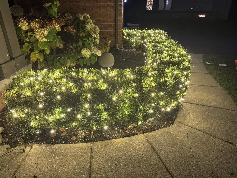 Custom yard cleanup service for outdoor upgrades across Sterling Heights, MI - R Landscaping