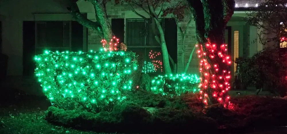 Professional yard cleanup service experts serving Sterling Heights, MI - R Landscaping