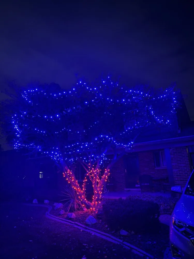 Trusted yard maintenance in Sterling Heights, MI - R Landscaping