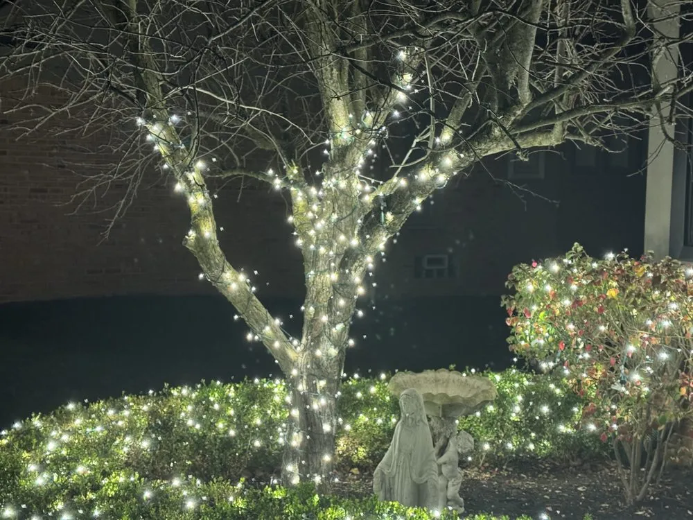 Reliable lawn care service in Sterling Heights, MI by R Landscaping