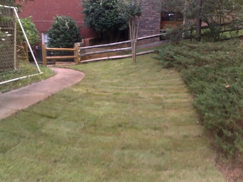 Expert yard cleanup service in Sugar Hill, GA - R Lawncare