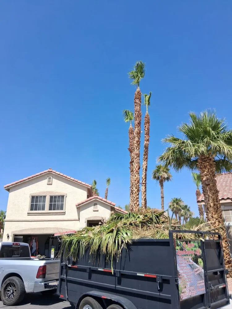 Reliable yard maintenance experts serving Enterprise, NV - R Lopez Landscaping