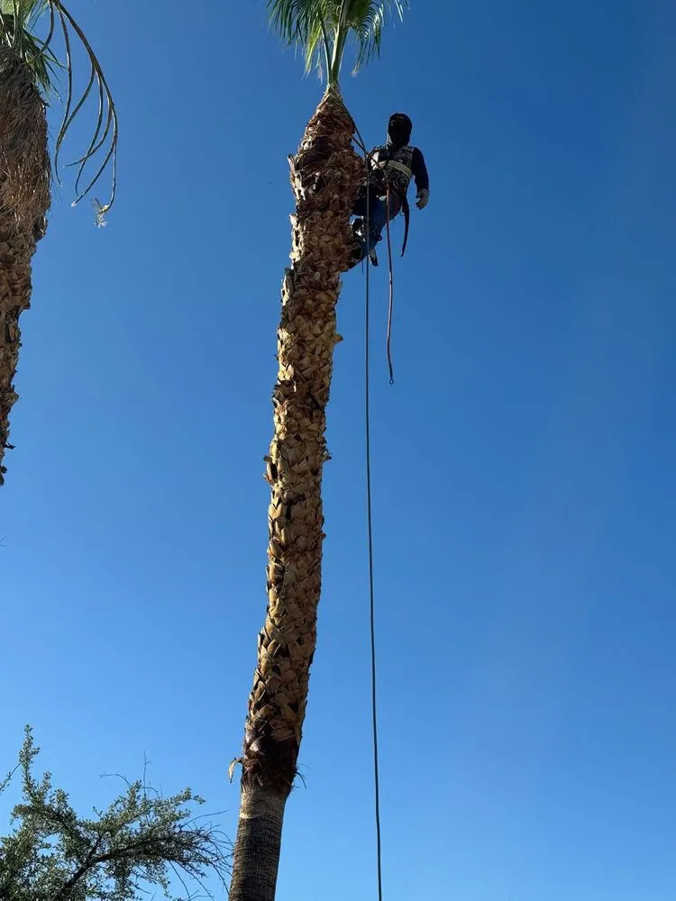 Custom landscape design experts serving Enterprise, NV - R Lopez Landscaping