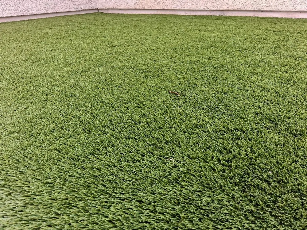 Professional landscape design in Enterprise, NV - R Lopez Landscaping