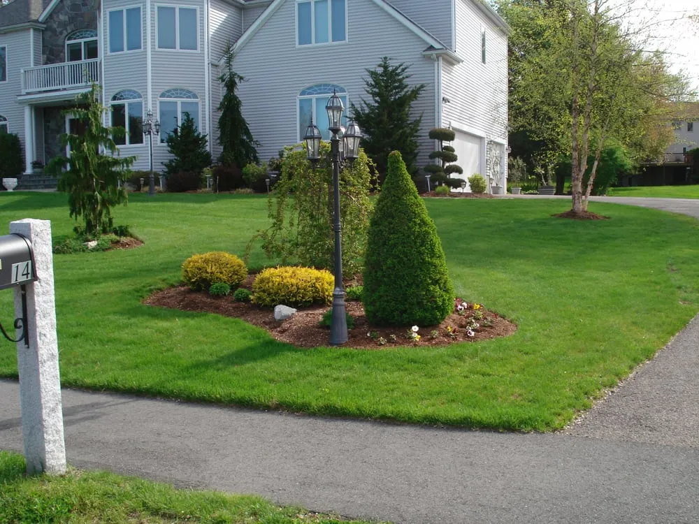 Reliable yard cleanup service experts serving Plainville, MA - R M Cacciapaglia