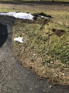 Local residential landscaping for residential properties in Hilton, NY by R M Landscape