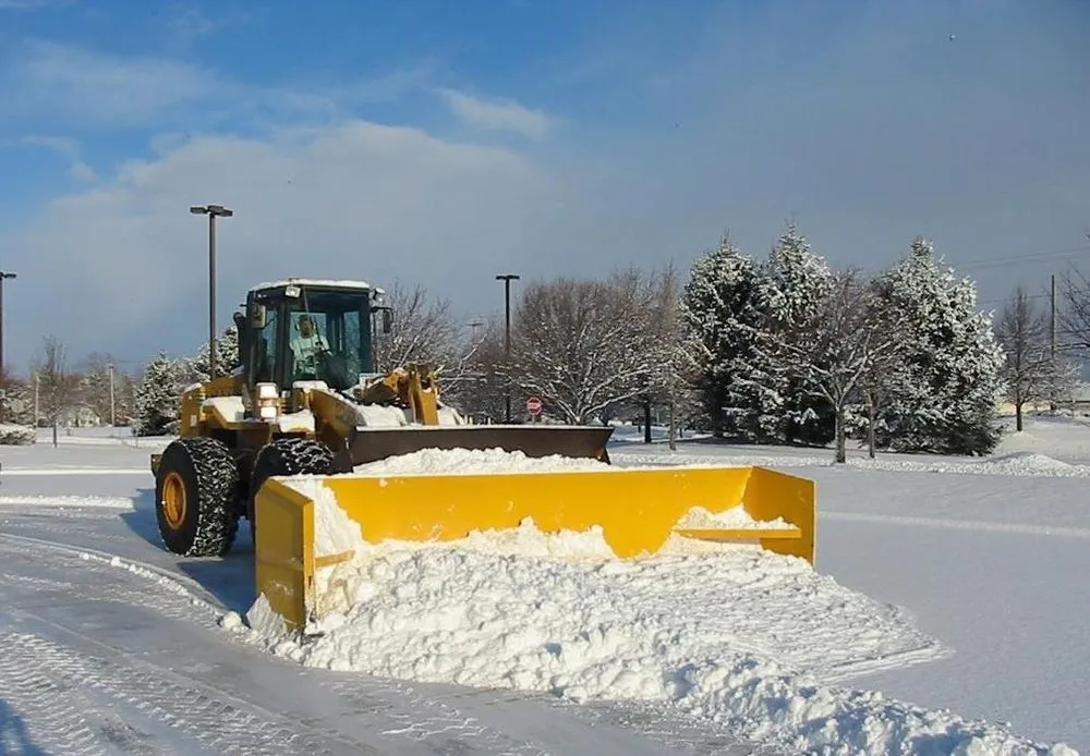 Reliable yard cleanup service in Hilton, NY by R M Landscape