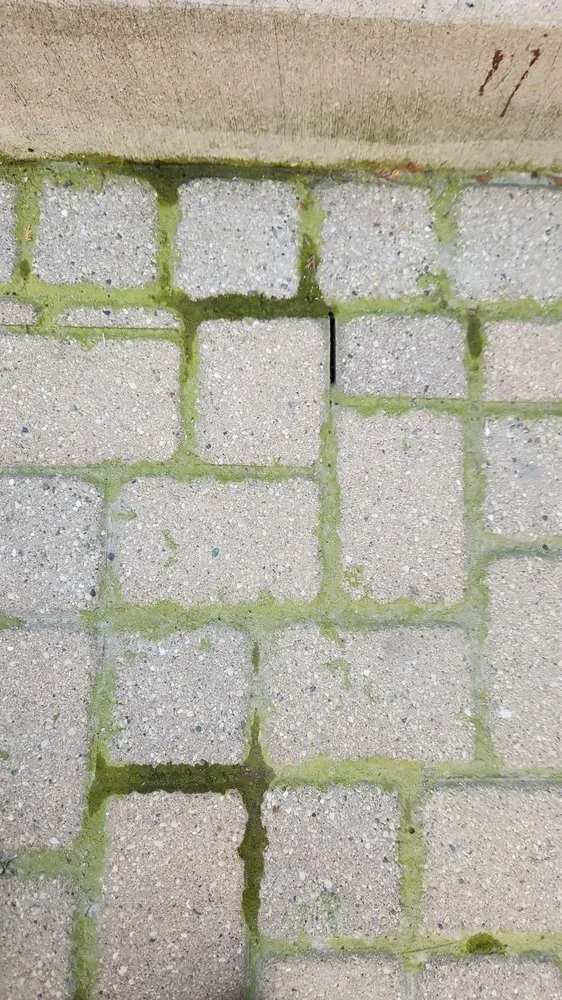 Custom landscape installation for residential properties across Chicago, IL - R M Landscaping