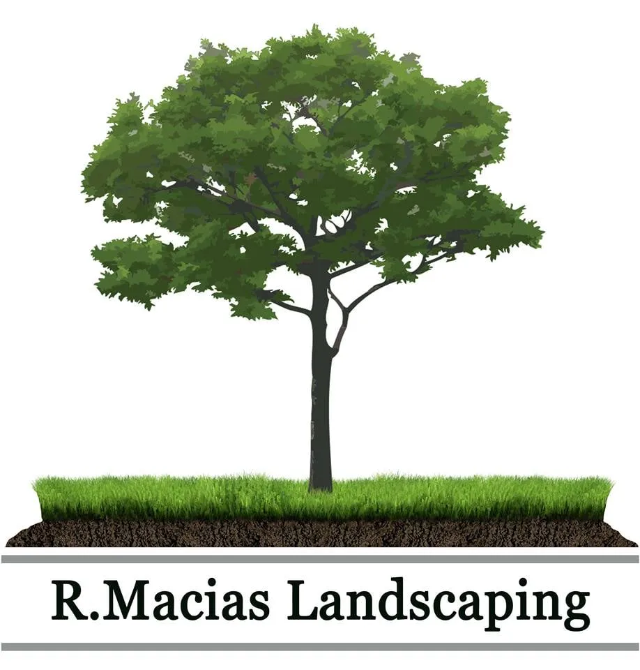 Professional yard maintenance in Santa Maria, CA by R Macias Landscaping