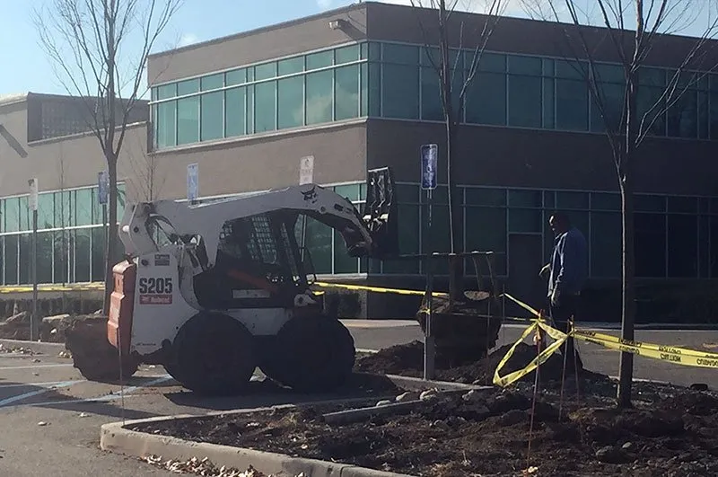 Reliable lawn care service for residential properties in Bay Shore, NY by R. Mastrangelo Landscaping