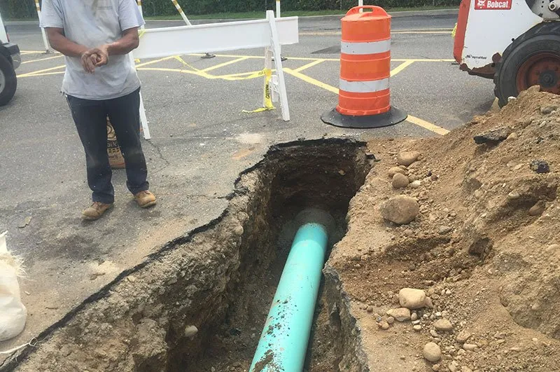 Local yard cleanup service in Bay Shore, NY - R. Mastrangelo Landscaping