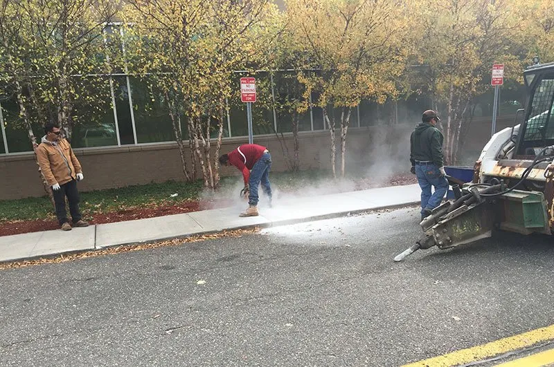 Expert lawn care service for year-round maintenance in Bay Shore, NY by R. Mastrangelo Landscaping