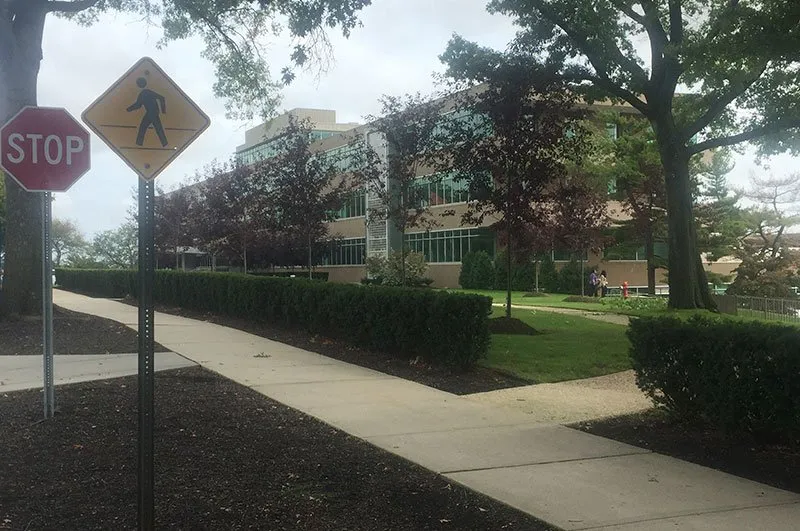 Custom garden landscaping for outdoor upgrades across Bay Shore, NY - R. Mastrangelo Landscaping