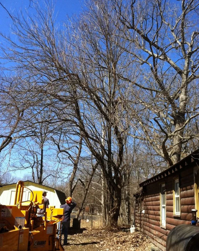 Professional garden landscaping for beautiful yards in Newburgh, NY by R McCormick