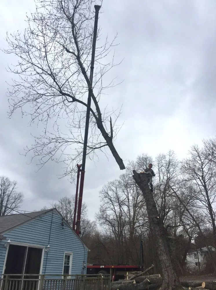 Trusted landscape design experts serving Newburgh, NY - R McCormick