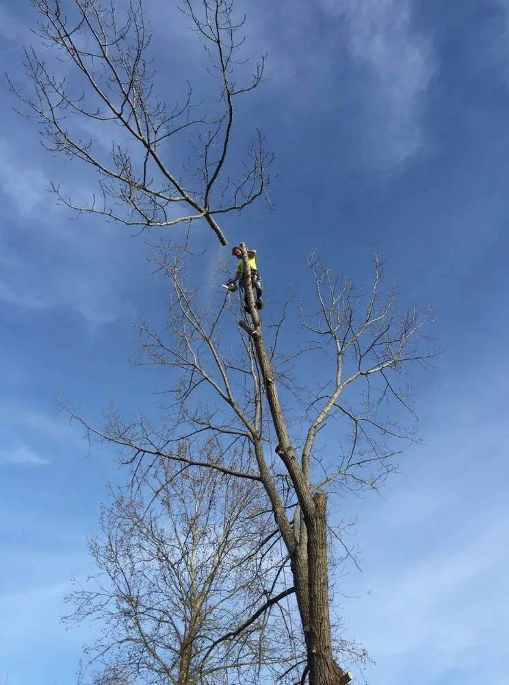 Reliable lawn care service in Newburgh, NY - R McCormick