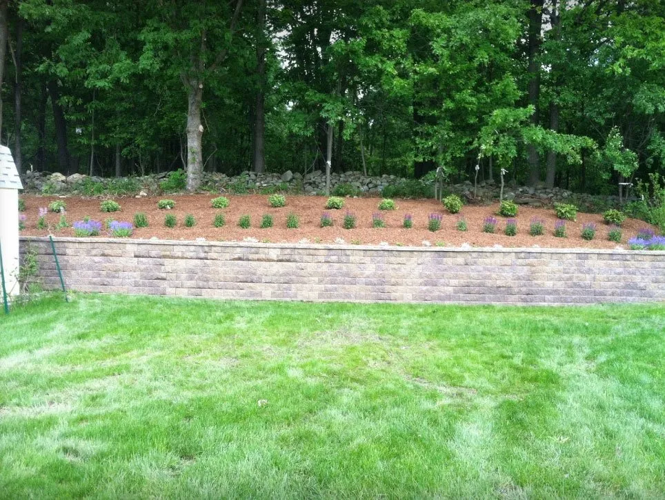 Affordable lawn care service for beautiful yards in Newburgh, NY by R McCormick