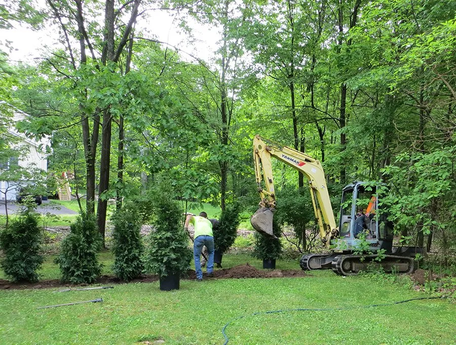 Trusted yard cleanup service in Newburgh, NY by R McCormick