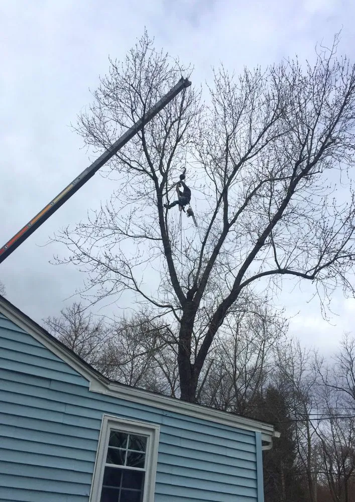 Reliable landscape installation in Newburgh, NY - R McCormick