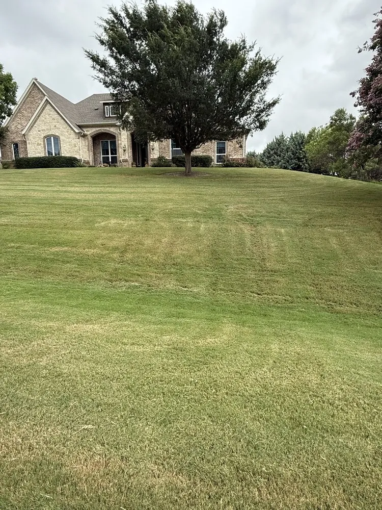 Top-rated lawn care service in Fort Worth, TX - R Mejia Landscaping