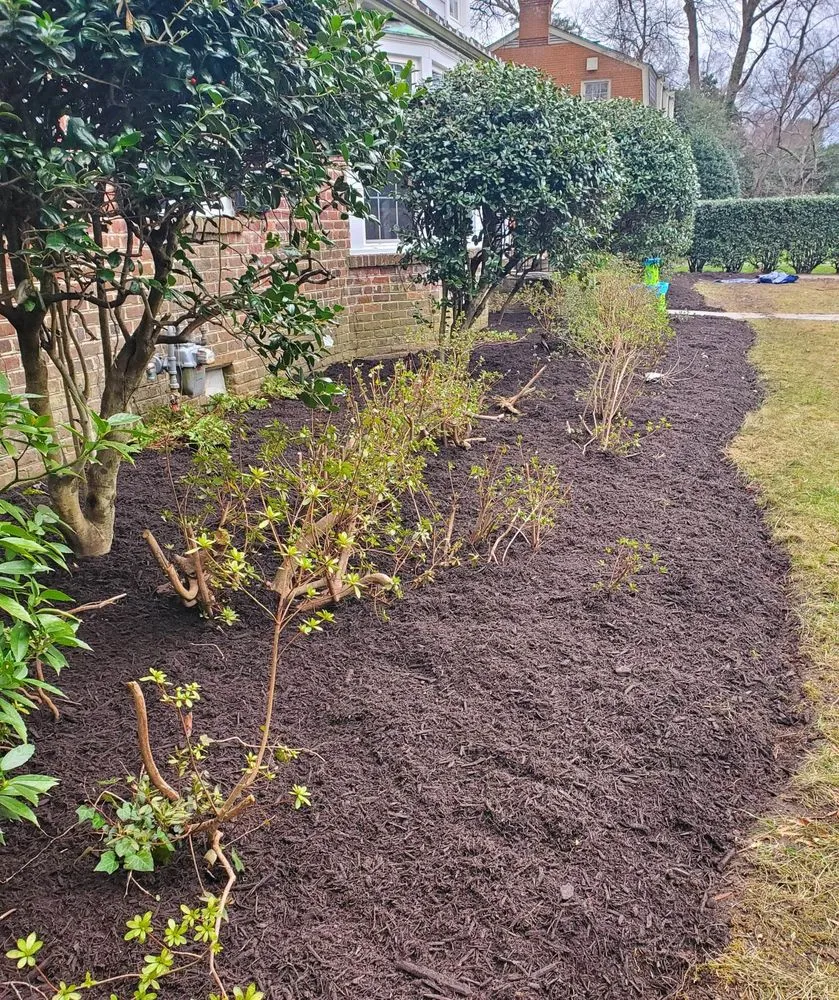 Affordable yard cleanup service experts serving Richmond, VA - R Mendez Landscaping Services