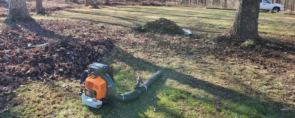 Trusted yard maintenance for year-round maintenance in Richmond, VA by R Mendez Landscaping Services