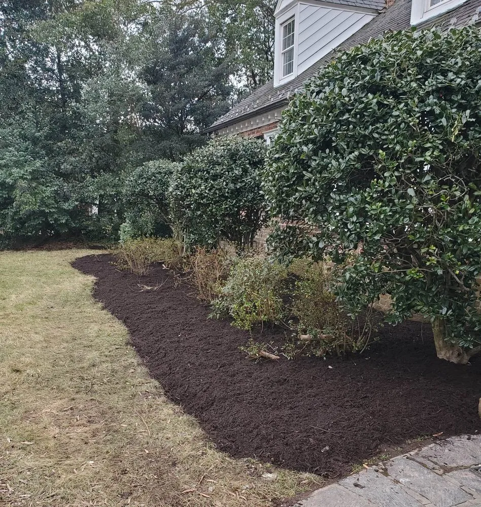 Local lawn mowing service for year-round maintenance in Richmond, VA by R Mendez Landscaping Services