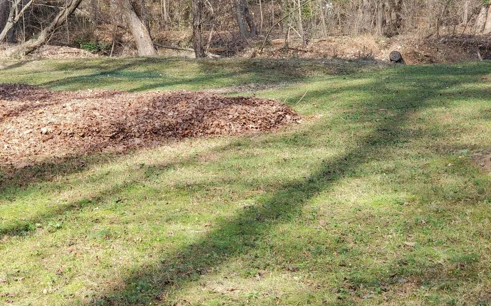 Reliable garden landscaping for homes in Richmond, VA by R Mendez Landscaping Services