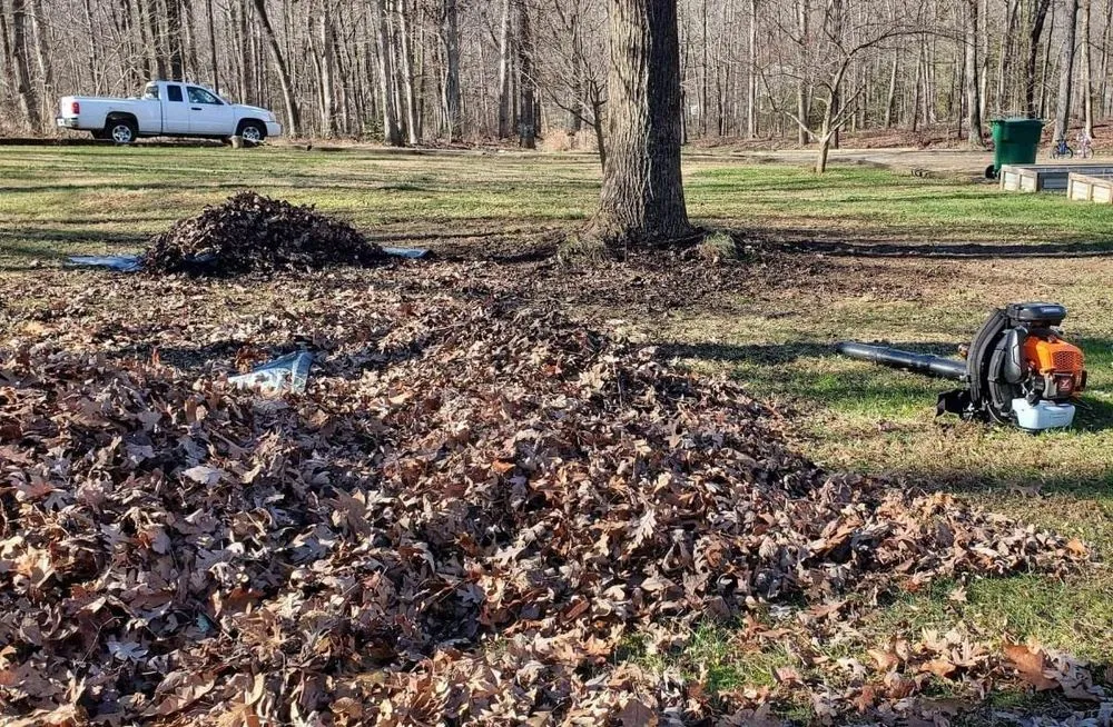 Top-rated yard cleanup service in Richmond, VA - R Mendez Landscaping Services