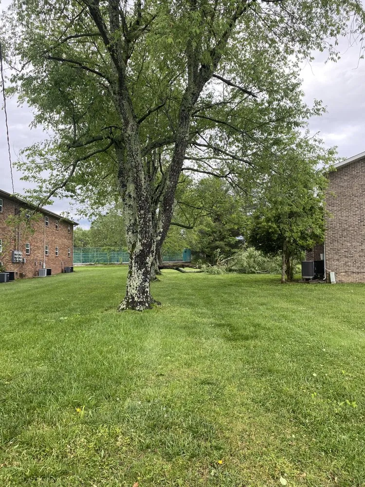 Trusted lawn mowing service in Manchester, TN by R n B Lawn Service