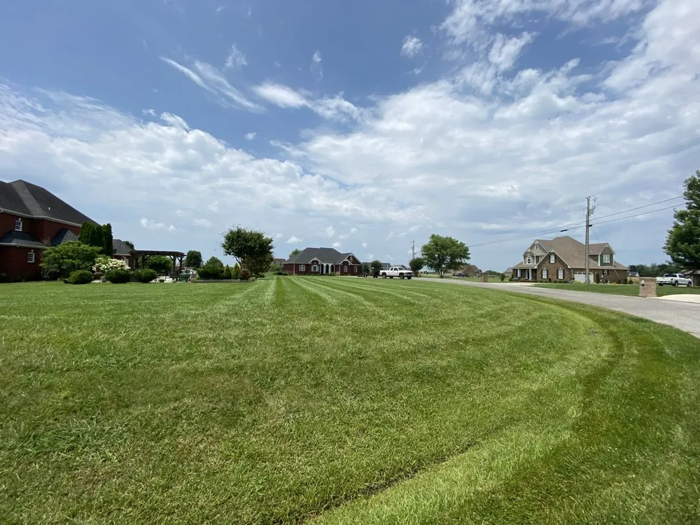 Trusted yard cleanup service for homes in Manchester, TN by R n B Lawn Service