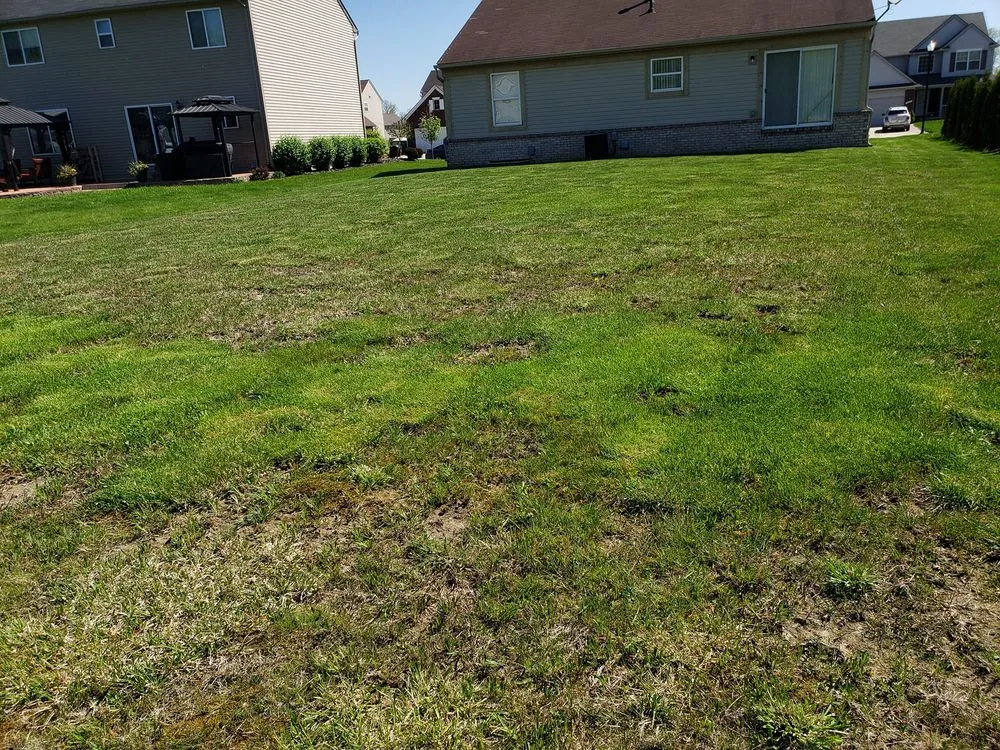 Professional landscaping services in Westland, MI by R 'n R Cuttin Green