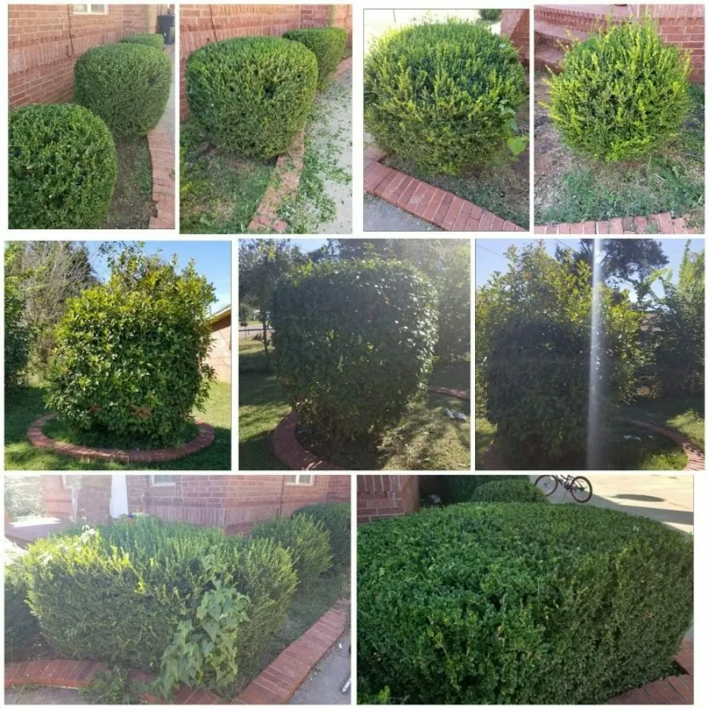 Professional lawn care service experts serving Oklahoma City, OK - R-n-S Lawn Care