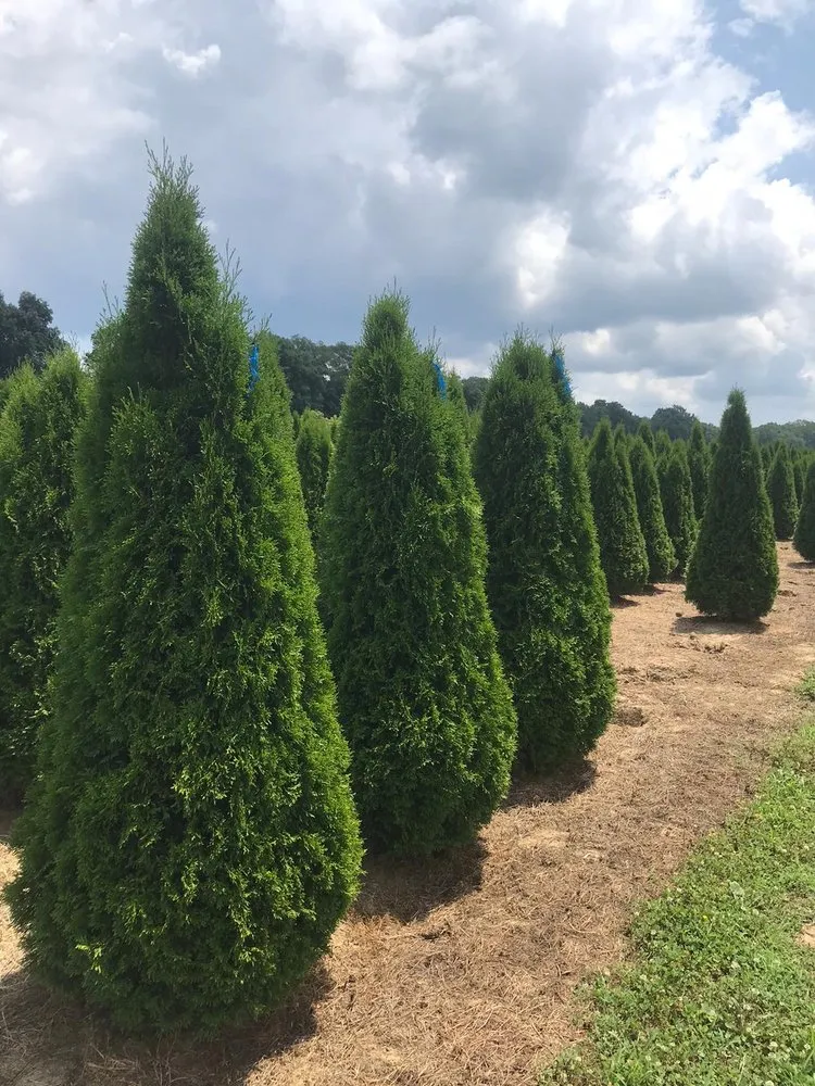 Affordable landscape installation experts serving Long Branch, NJ - R Nieto Landscaping