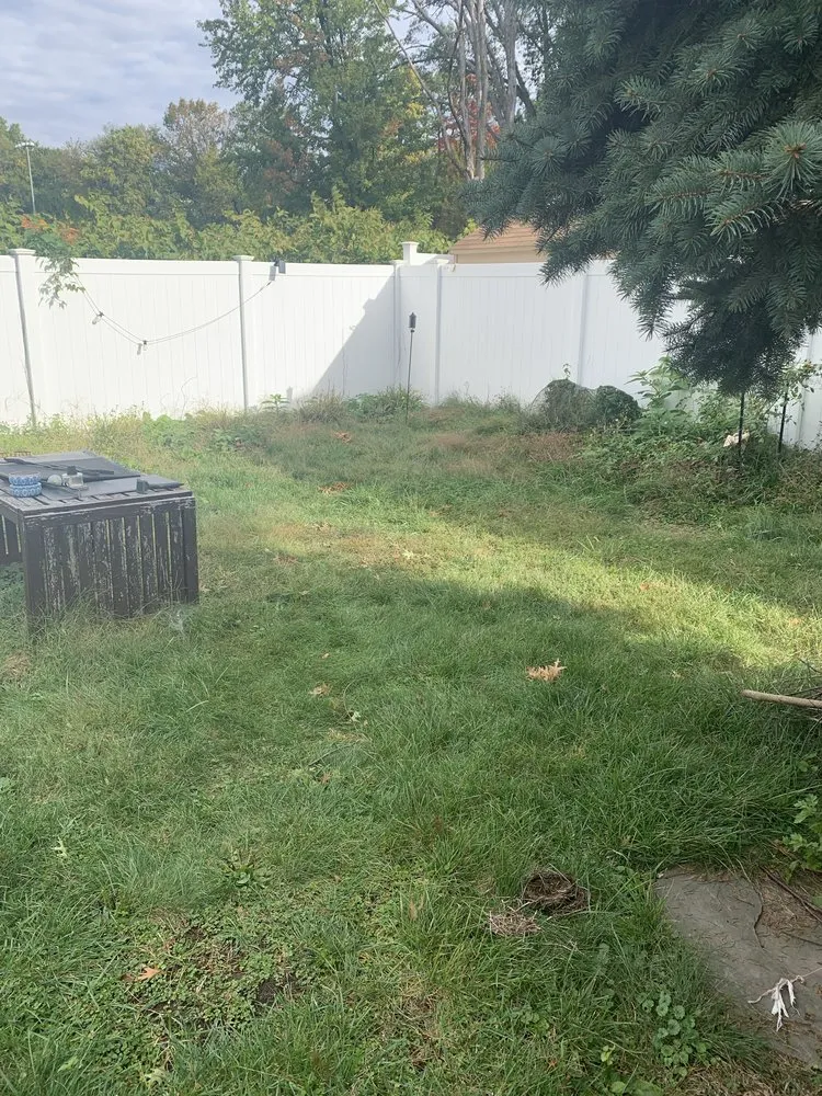 Expert lawn care service in Hawthorne, NJ - R O S General Service