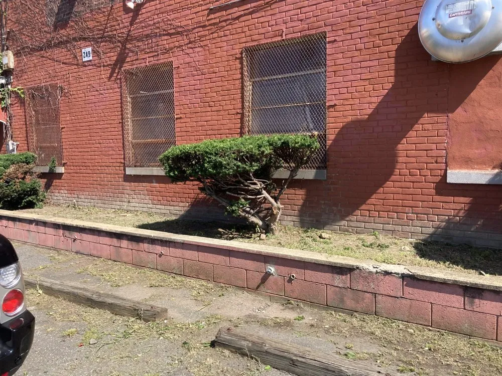 Trusted yard cleanup service experts serving Hawthorne, NJ - R O S General Service