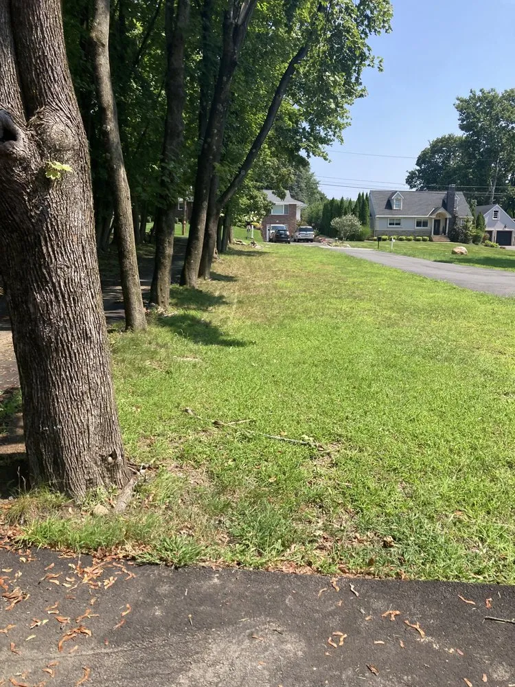 Affordable lawn mowing service in Hawthorne, NJ by R O S General Service