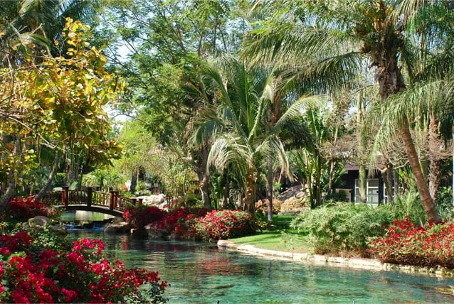 Trusted yard maintenance experts serving Fort Myers, FL - R P Lawn Care