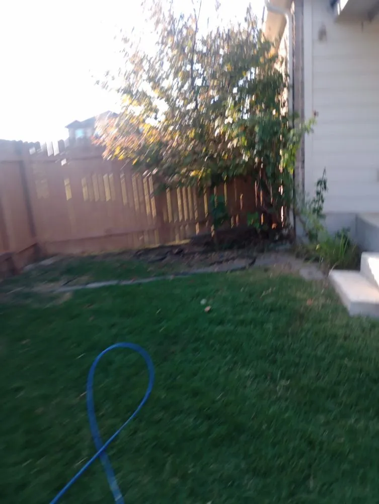 Reliable garden landscaping experts serving Austin, TX - R R Service's