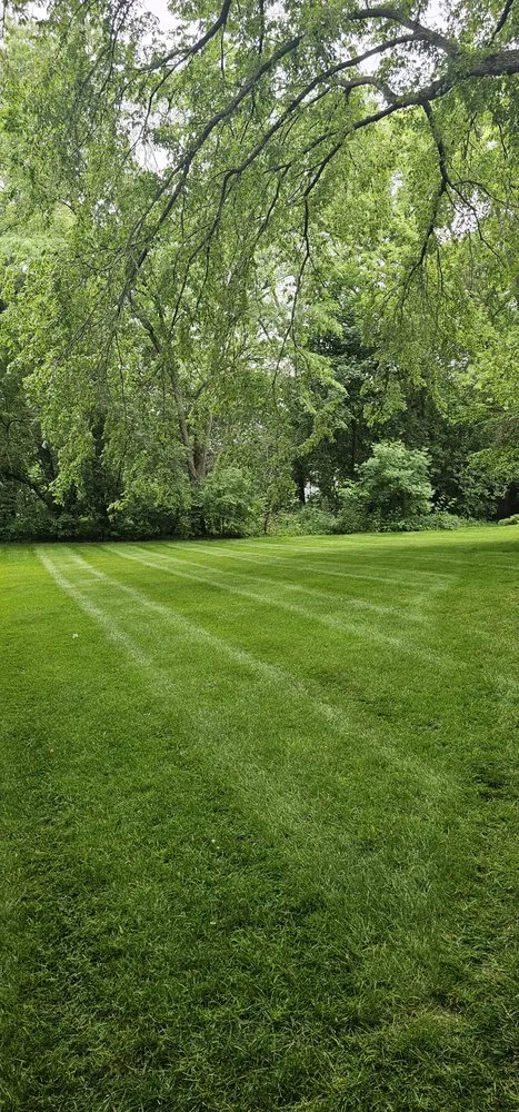 Local residential landscaping experts serving Carpentersville, IL - R R V