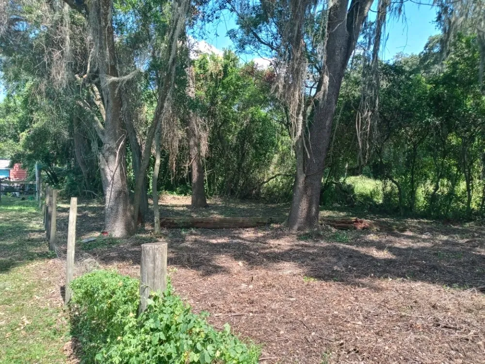 Trusted lawn mowing service experts serving Dade City, FL - R Ridege Lawn Care & Pressure Washing