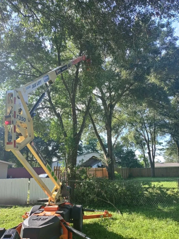 Top-rated yard maintenance in Dade City, FL - R Ridege Lawn Care & Pressure Washing