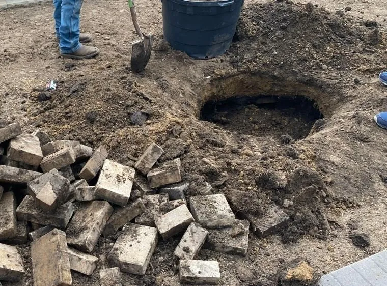 Reliable yard maintenance near you across San Jose, CA - R Rivera Landscaping